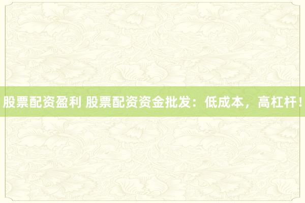 股票配资盈利 股票配资资金批发：低成本，高杠杆！