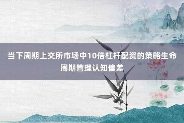 当下周期上交所市场中10倍杠杆配资的策略生命周期管理认知偏差