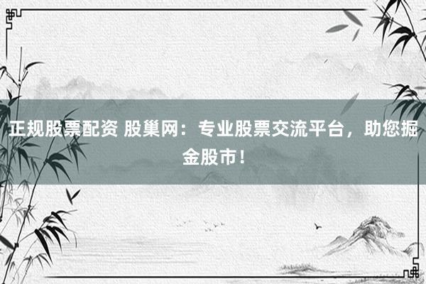 正规股票配资 股巢网：专业股票交流平台，助您掘金股市！